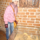 Pomorze jakiego nie znamy - zamki krzyżackie